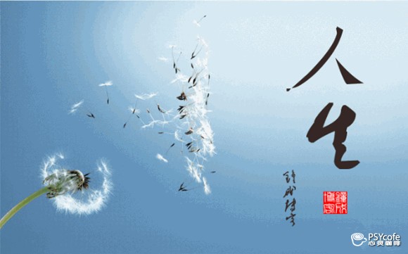 享受生活 价值